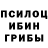 Псилоцибиновые грибы прущие грибы Azat Ivanov