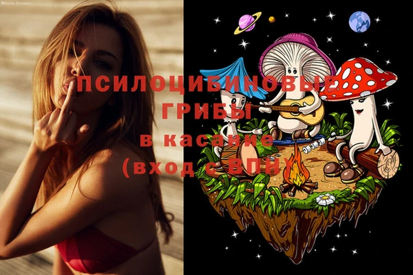 бутират Алзамай