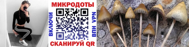 Галлюциногенные грибы Cubensis  MEGA ссылки  Топки 